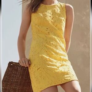 Banana Republic Leaf Lace Sleeveless Sheath Dress